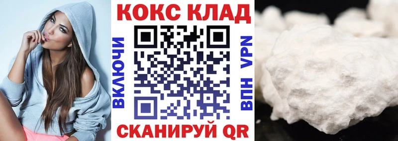 Купить закладки  Жердевка  Cocaine Fish Scale 