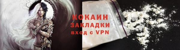бошки Белокуриха