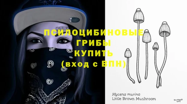ALPHA-PVP Богородск