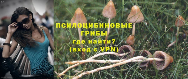 бошки Белокуриха