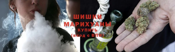бошки Белокуриха