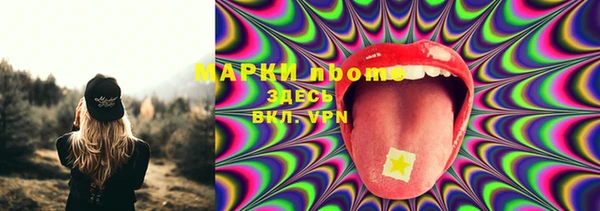 бошки Белокуриха