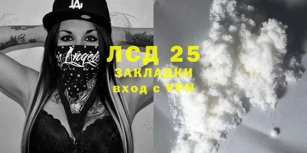 бошки Белокуриха